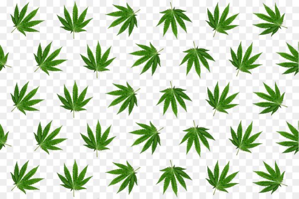 Krab4.cc и современные технологии